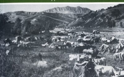 Romagna 1944-45. Le immagini dei fotografi di guerra inglesi dall’Appennino al Po